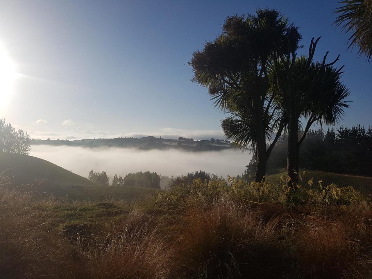 Above The River Karapiro Bed & Breakfast Exteriér fotografie