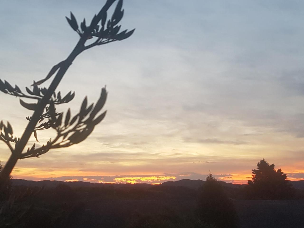 Above The River Karapiro Bed & Breakfast Exteriér fotografie