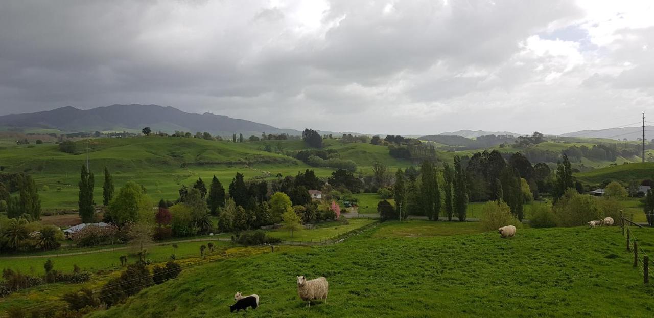 Above The River Karapiro Bed & Breakfast Exteriér fotografie